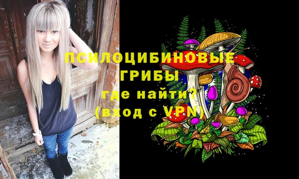 трава Армянск