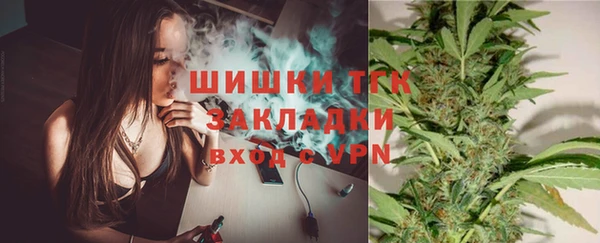 дмт Арсеньев