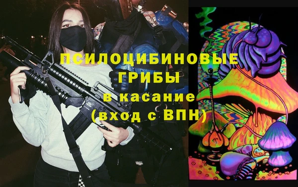 дмт Арсеньев